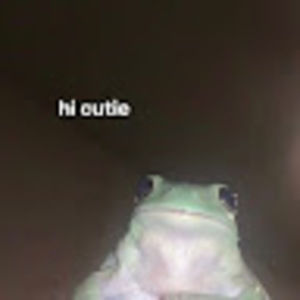 Meet your Posher, Zero